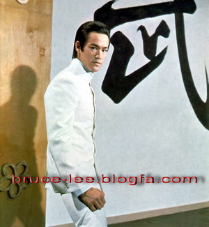 brucelee mrroc.  bani mallal